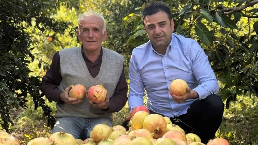 Gazipaşa’da Coğrafi İşaretli Nar Sezonu Bereketiyle Açıldı! 3